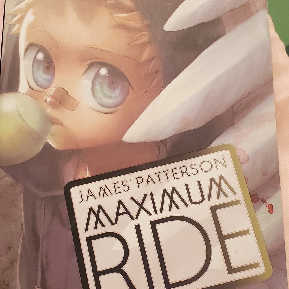 Maximum Ride 05 book